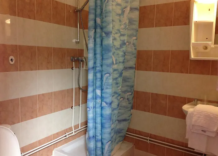 Du Parc 2* ボルドー